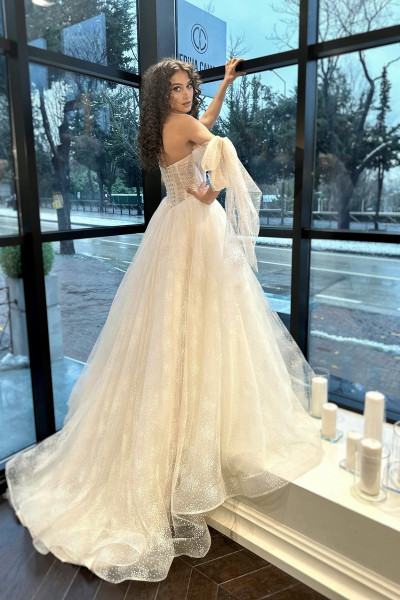 Printed tulle low sleeve A-line wedding dress TB1450